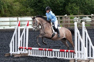 Class 1 - Fences 1'6 to 1'9